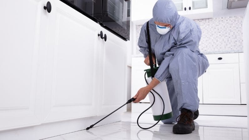 Pest Control